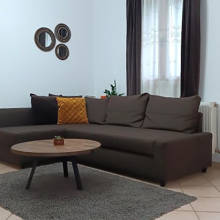 Baou House 1 Apartment Metsovo Luaran gambar