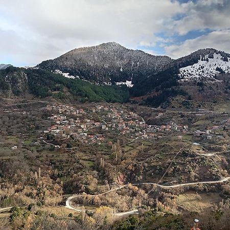 Baou House 1 Apartment Metsovo Luaran gambar
