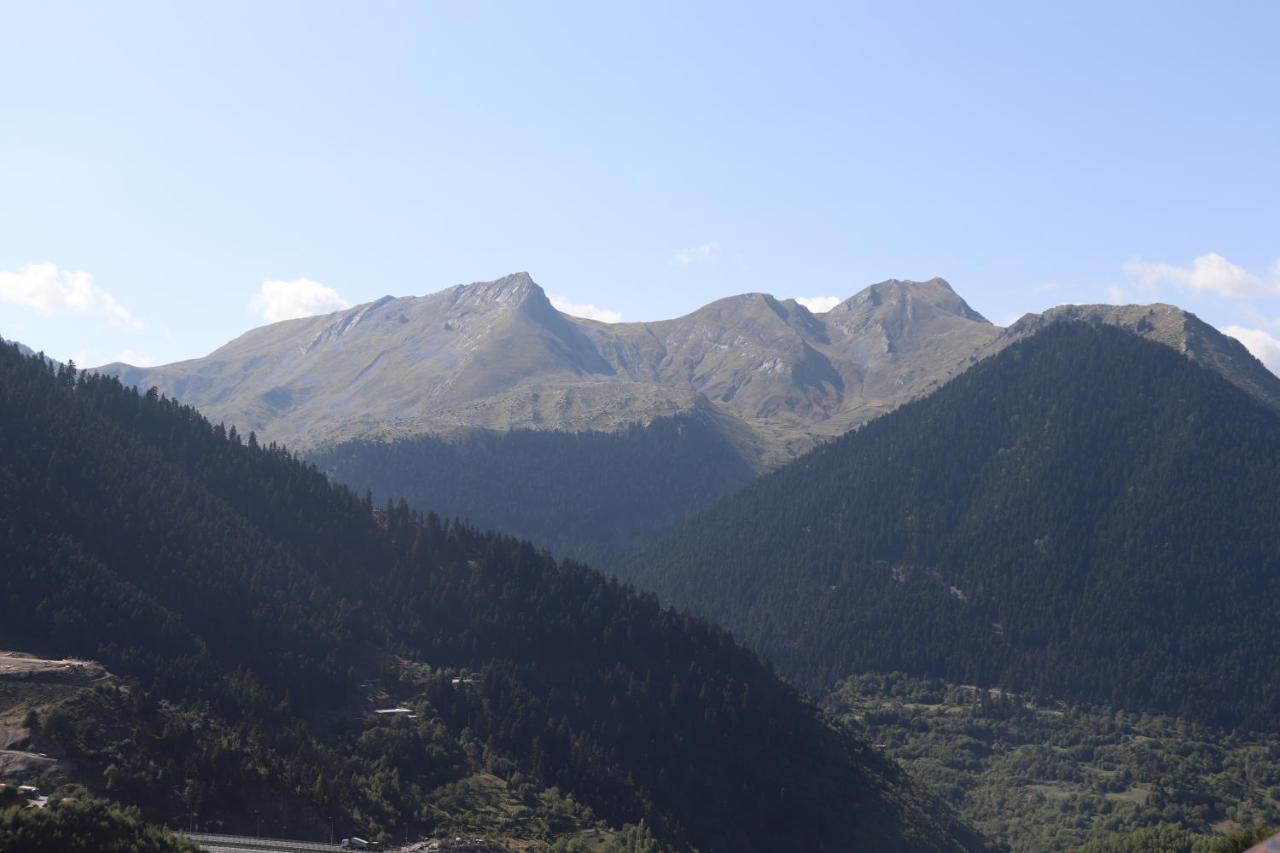 Baou House 1 Apartment Metsovo Luaran gambar