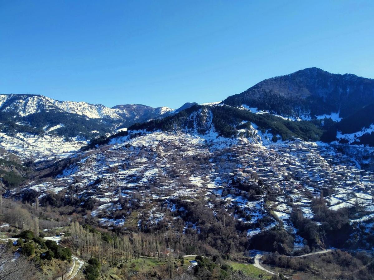 Baou House 1 Apartment Metsovo Luaran gambar