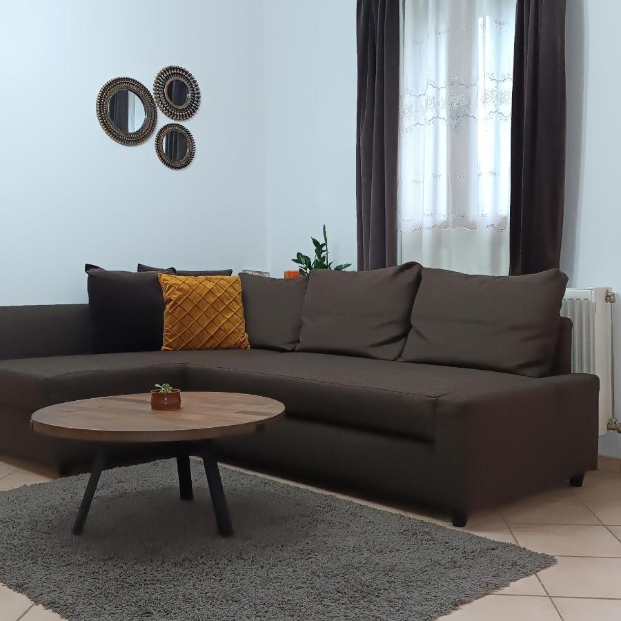Baou House 1 Apartment Metsovo Luaran gambar