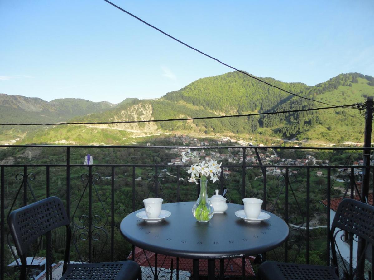 Baou House 1 Apartment Metsovo Luaran gambar